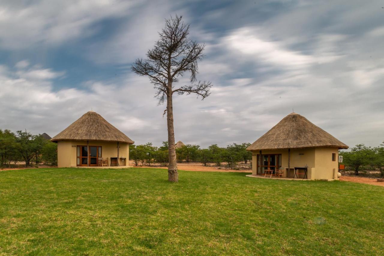 Linton Mopane Bush Lodge מראה חיצוני תמונה