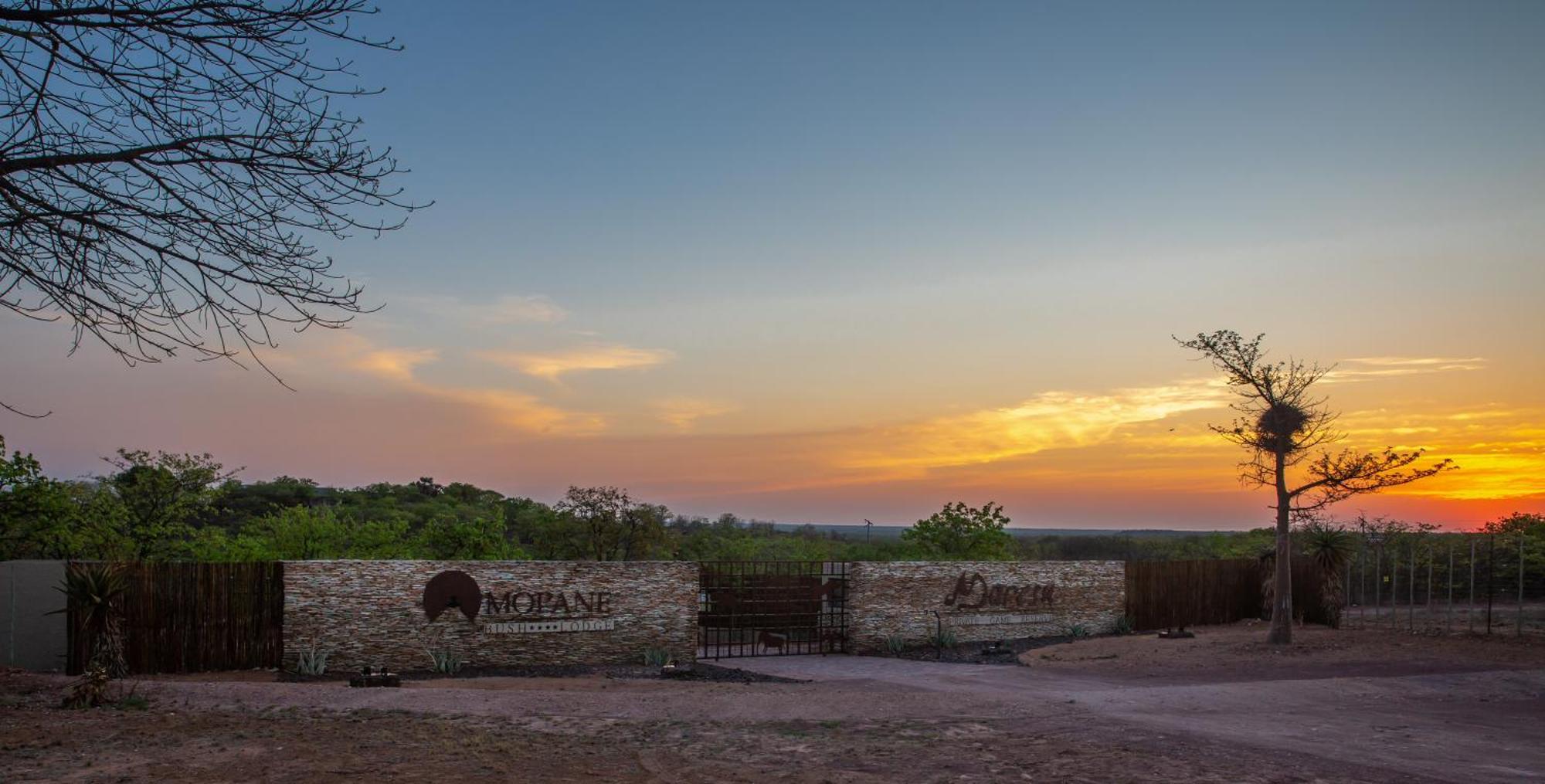 Linton Mopane Bush Lodge מראה חיצוני תמונה