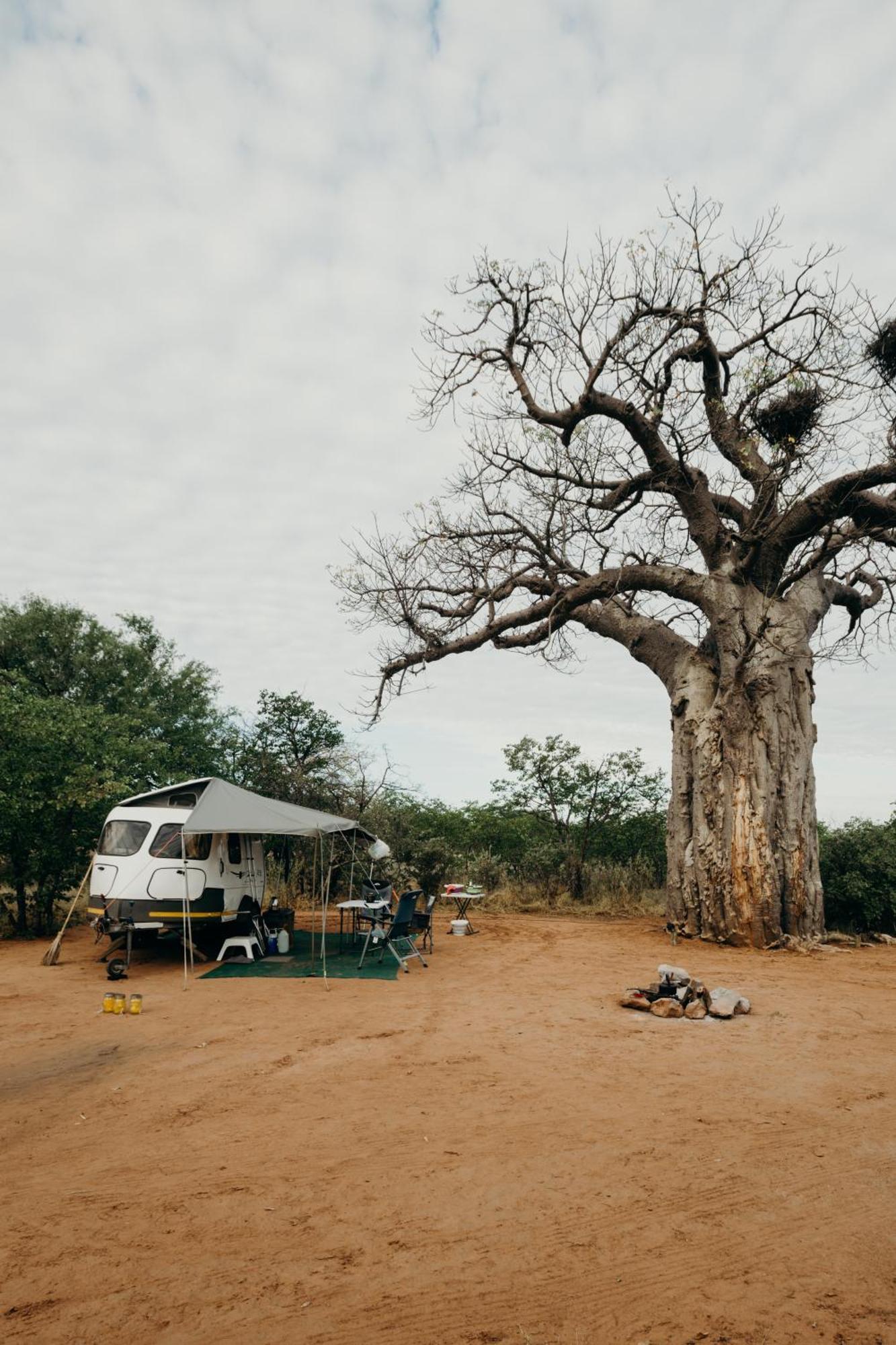 Linton Mopane Bush Lodge מראה חיצוני תמונה