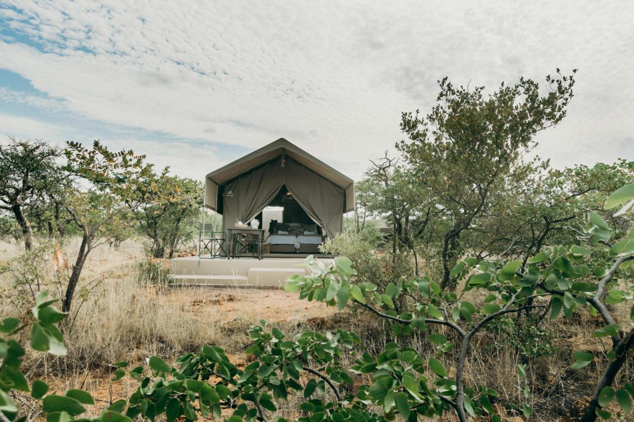 Linton Mopane Bush Lodge מראה חיצוני תמונה